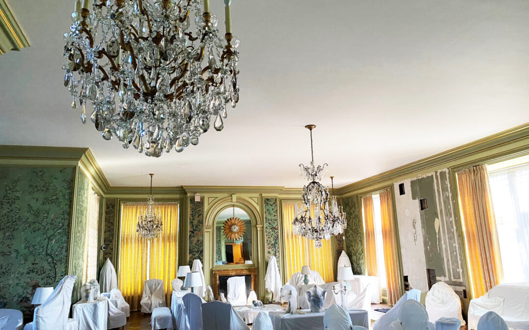 Caring for Our Collections: An Interview with Head Housekeeper, Pamela Carolino Lima