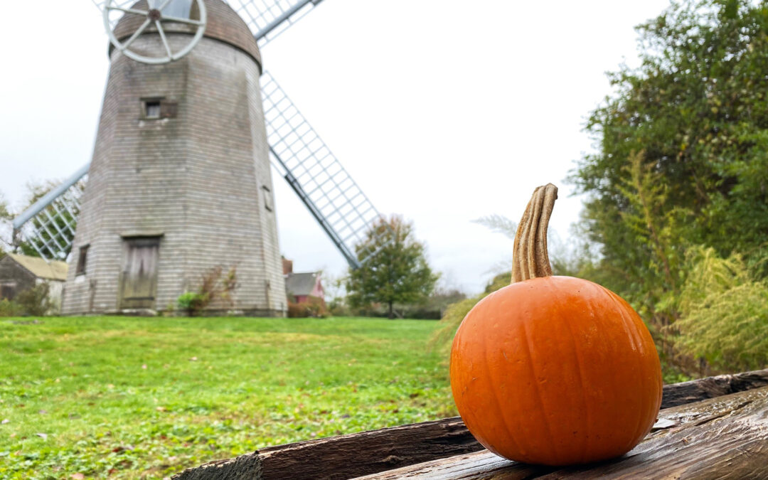 Prescott Farm Donates Pumpkins