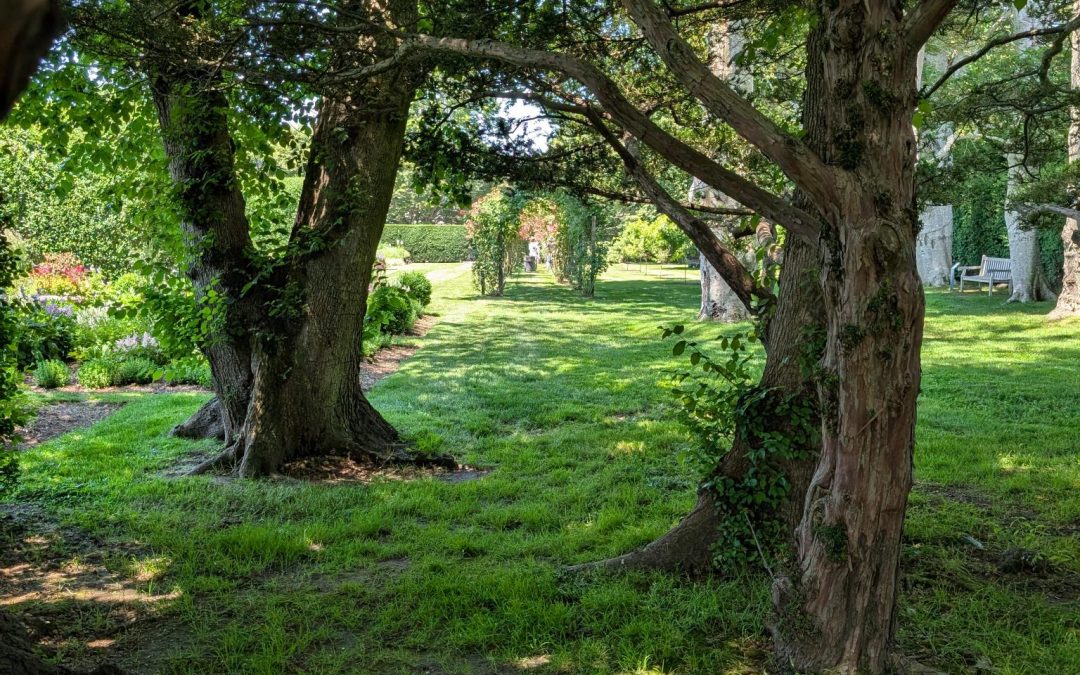 Rough Point Achieves Level 1 Arboretum Accreditation