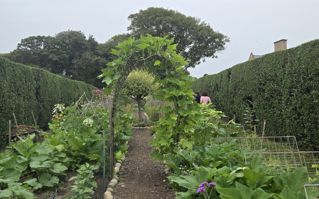 Garden Workshop: Kitchen Garden Basics